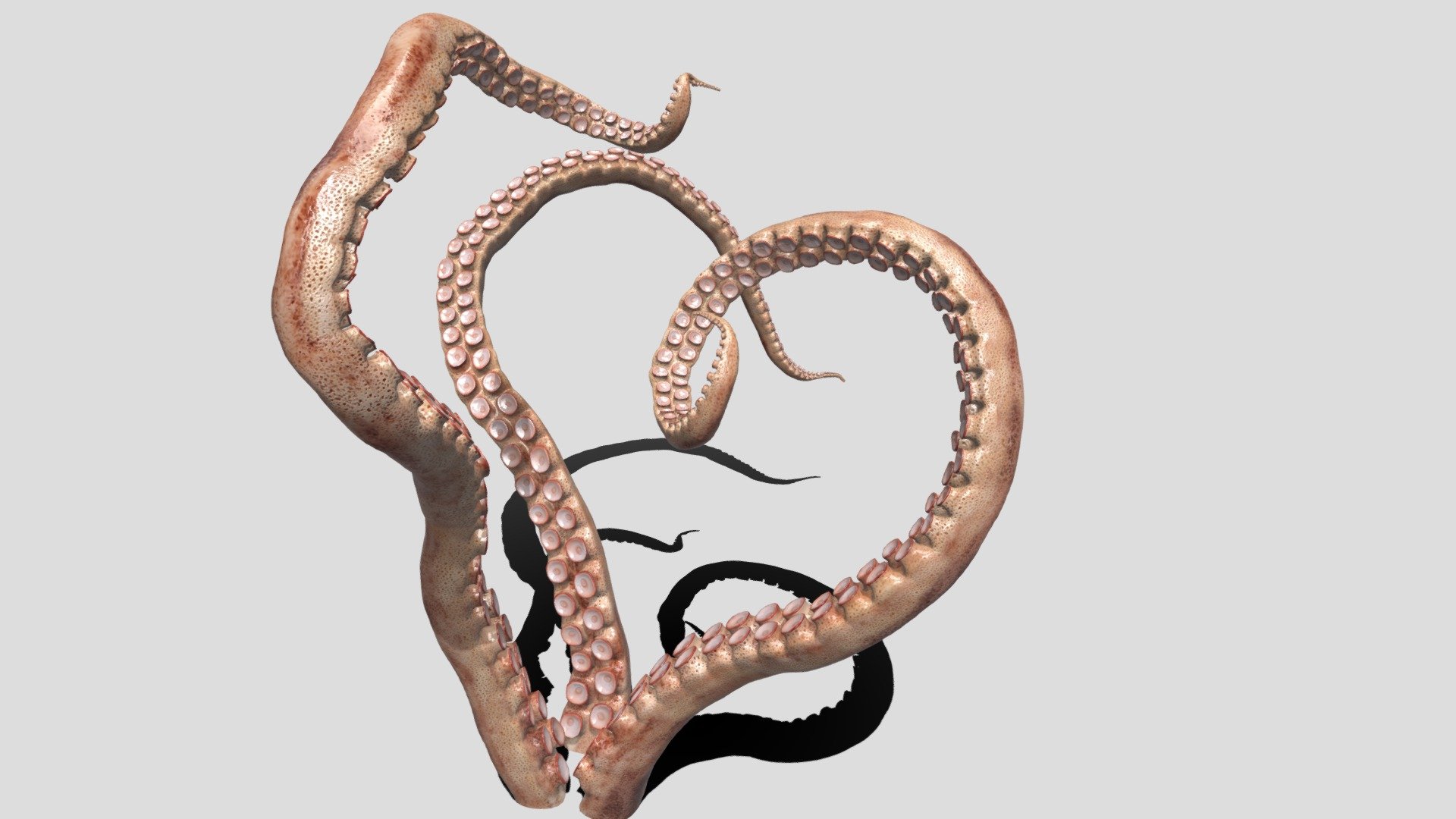 Tentacle Animated Buy Royalty Free D Model By Buncic A Bd