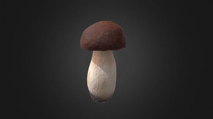 Edible Fungus D Models Sketchfab