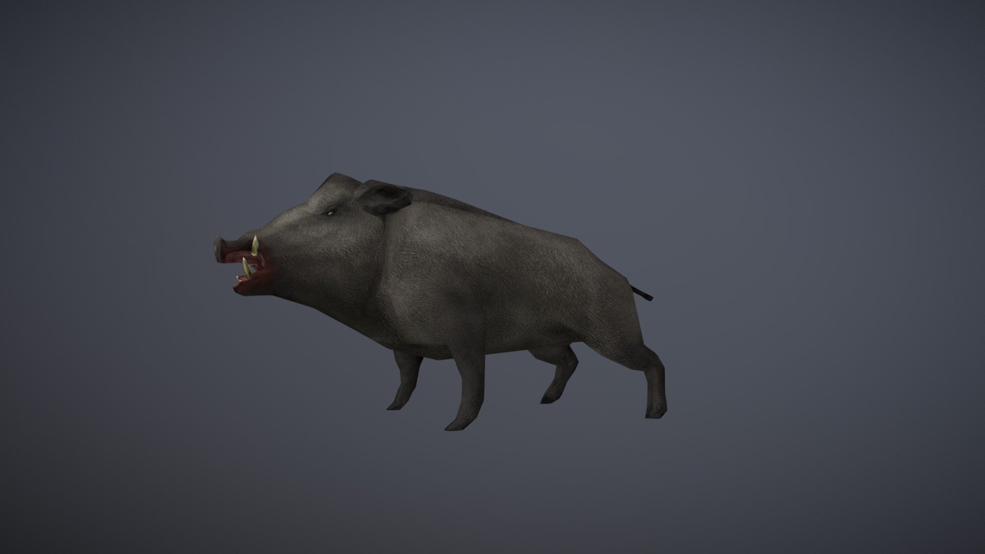 Boar J Adore