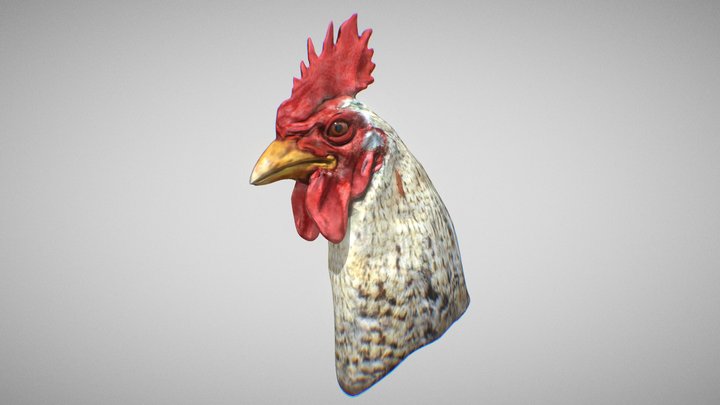 Cockerel D Models Sketchfab