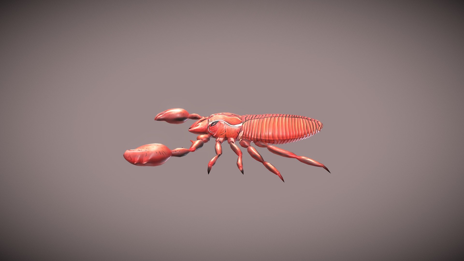 Pseudoscorpion Buy Royalty Free D Model By Spuke Animation