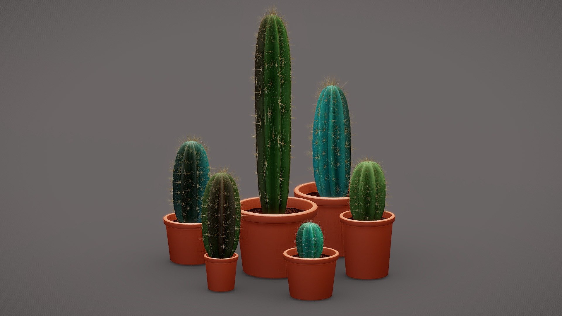 Cacti In Pots Buy Royalty Free 3D Model By 3Dee Mellydeeis