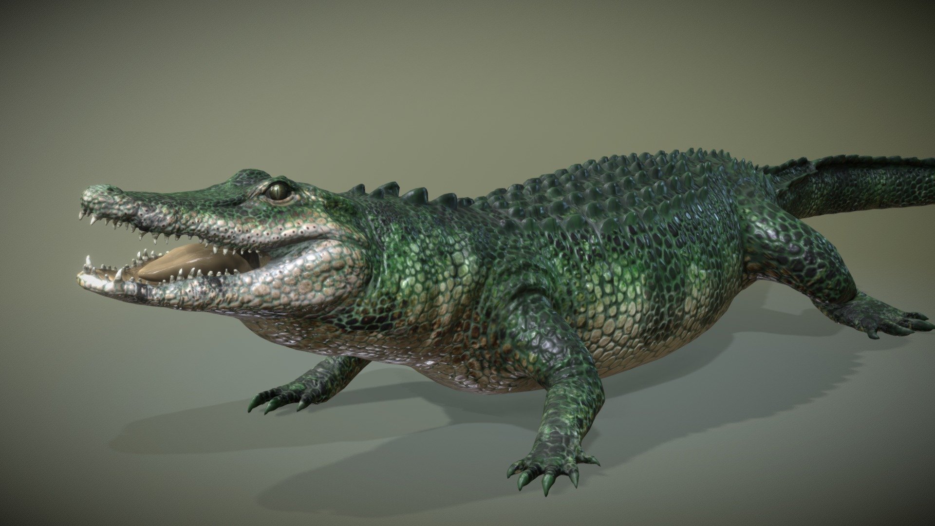 American Alligator On Land Buy Royalty Free D Model By Nestaeric