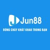 Avatar of 4jun88net