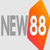 Avatar of New88