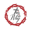 Avatar of ti-why