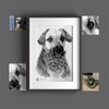 Avatar of Tierportraits Sketchus