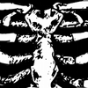 Avatar of Tom O'Graphyx