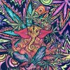 Avatar of andreiknight