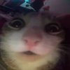 Avatar of ArtemBaklin06