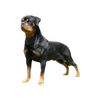 Avatar of xhrix woxx
