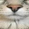 Avatar of hhyhh