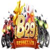 Avatar of B29