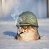 Avatar of benlebowskiy
