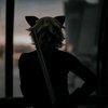 Avatar of Cat Noir