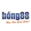Avatar of Bong88
