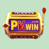 Avatar of PKWIN