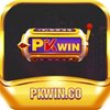 Avatar of pkwin13cc