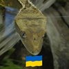 Avatar of Filip.Gajewski
