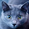 Avatar of timedimension999