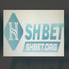 Avatar of shbetorgvn