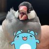 Avatar of wendychanghy