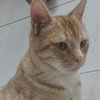 Avatar of mo_cha