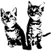 Avatar of hdhshdhshshd223