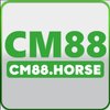 Avatar of cm88horse