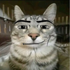 Avatar of gartzz