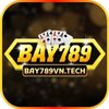 Avatar of bay789vntech