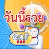 Avatar of CAT888