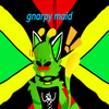 Avatar of Gnarpy maid YAYAY