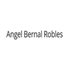 Avatar of Angel Bernal Robles
