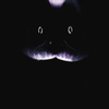 Avatar of deepspace11