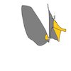 Avatar of theking12550