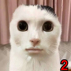 Avatar of Nade