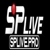 Avatar of splive pro