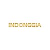 Avatar of indonggia