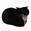 Avatar of 108230478