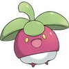 Avatar of Toecheese