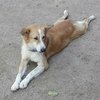 Avatar of suttikit