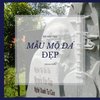Avatar of Mộ đá đẹp Cphaco