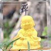 Avatar of wongp0065