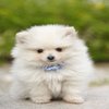 Avatar of Cute_ph