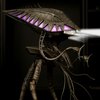 Avatar of (GT2) Animations