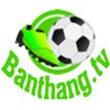Avatar of banthangwebsite