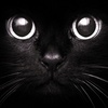 Avatar of goobej99