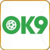 Avatar of OK9 com