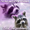 Avatar of raccoonboinsfw